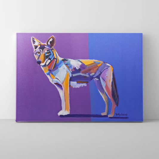 Coyote Pretty- Canvas