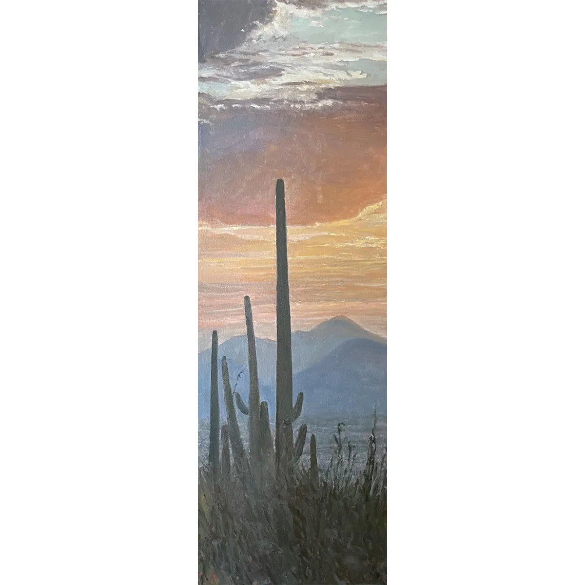 Saguaros at Sunset by John Horejs