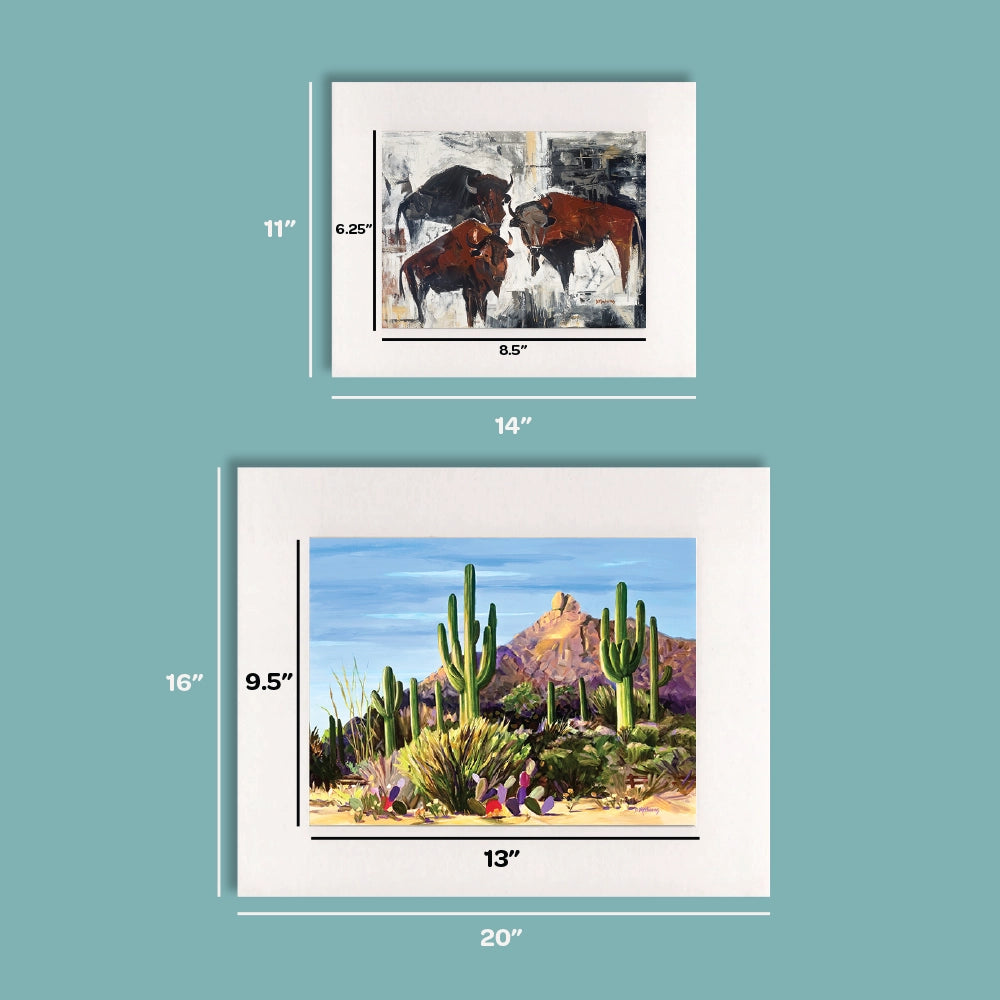 Pots at the Hacienda- Matted Print