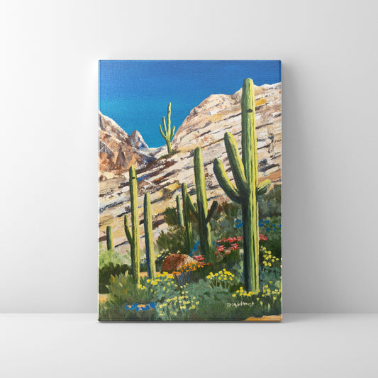 Mike's Saguaros- Canvas