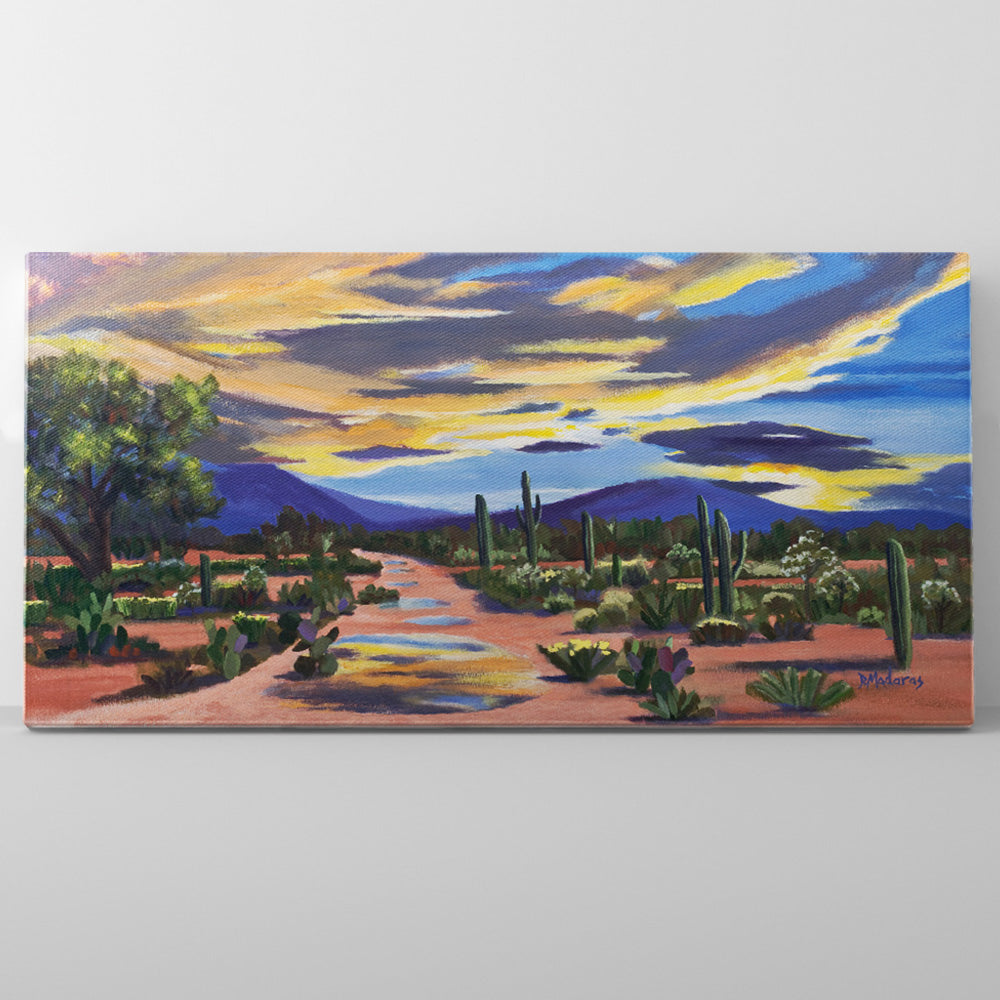 Sabino Canyon Sunset - Canvas Panorama