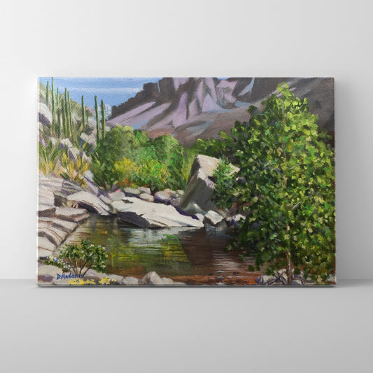 Sabino in Spring- Canvas