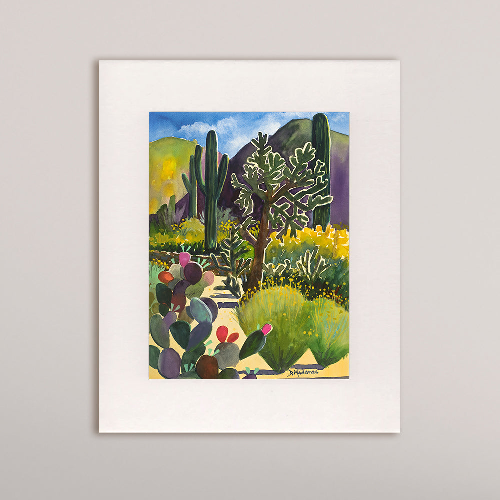 Debbie's Cholla- Matted Print