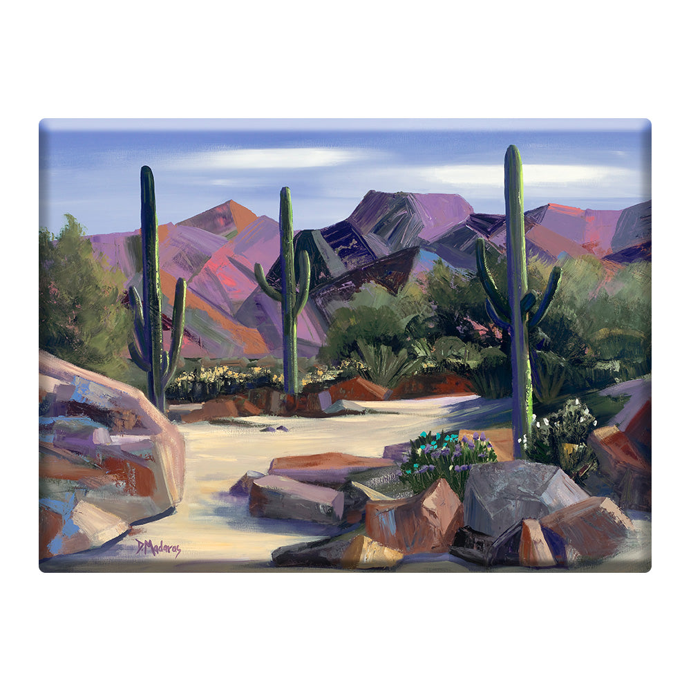 Dry River Bed- Mini Canvas